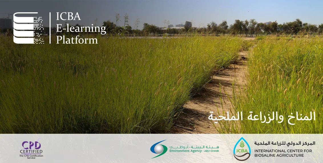 المناخ والزراعة الملحية