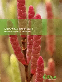 Annual Report 2013