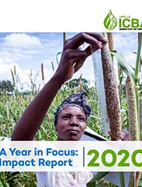 Impact Report 2020