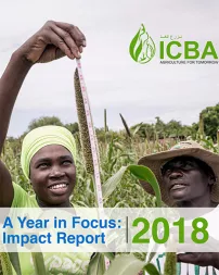Impact Report 2018