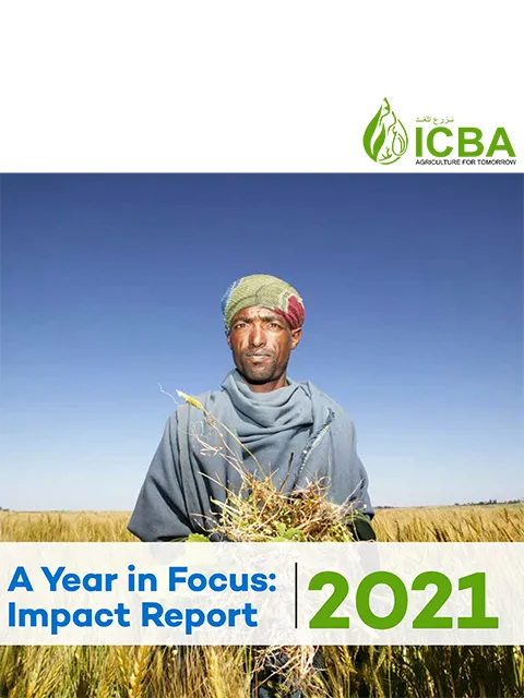 Impact Report 2021