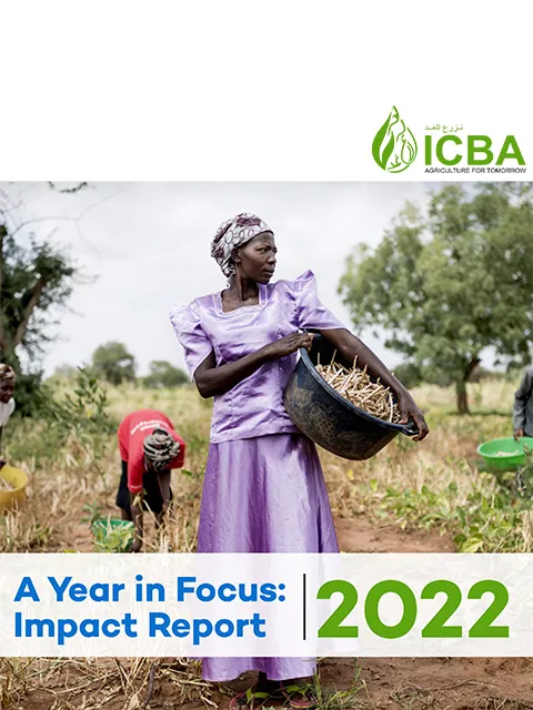 Impact Report 2022