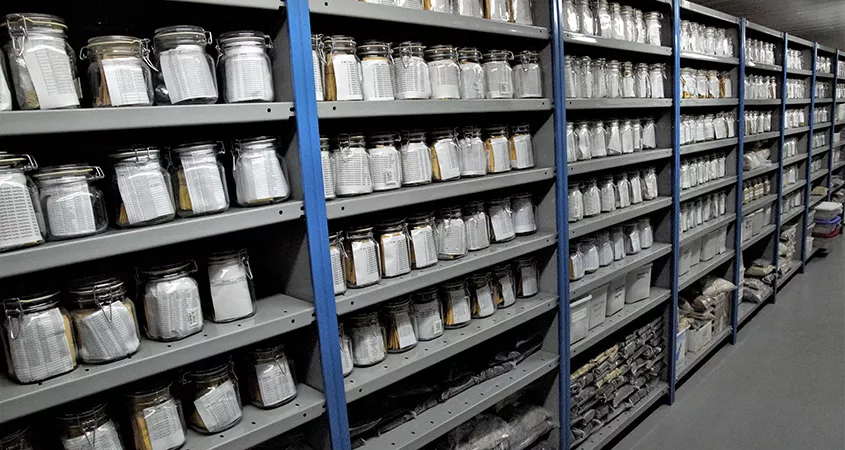 ICBA Genebank accessions store