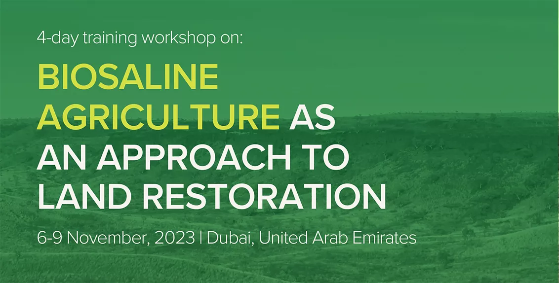Biosaline agriculture as an approach to land restoration