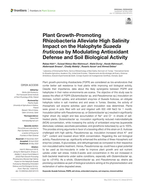 Plant Growth-Promoting Rhizobacteria Alleviate High Salinity Impact on the Halophyte Suaeda fruticosa by Modulating Antioxidant Defense and Soil Biological Activity