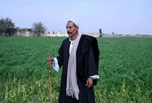 تحويل سيناء إلى أرض خضراء  - قصة جمال الخولي