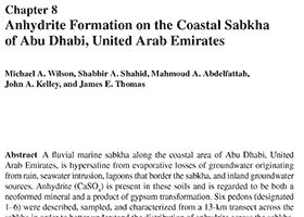 Anhydrite formation on the coastal sabkha of Abu Dhabi, United Arab Emirates