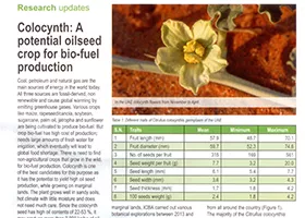Colocynth: A potential oilseed crop for bio-fuel production