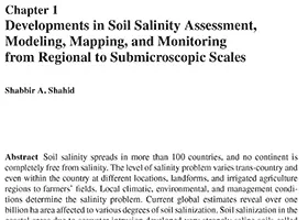 Developments in salinity assessment, modeling, mapping, and monitoring from regional to submicroscopic scales