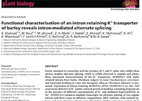 Functional characterisation of an intron retaining K+ transporter of barley reveals intron-mediated alternate splicing