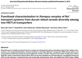Functional characterization in Xenopus oocytes of Na+ transport systems from durum wheat reveals diversity among two HKT1;4 transporters