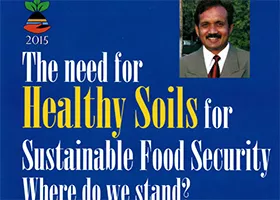 The need for Healthy Soils for Sustainable Food Security. Where do we stand?