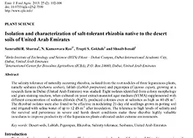 Isolation and characterization of salt-tolerant rhizobia native to the desert soils of United Arab Emirates
