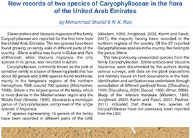 New records of two species of Caryophyllaceae in the flora of the United Arab Emirates