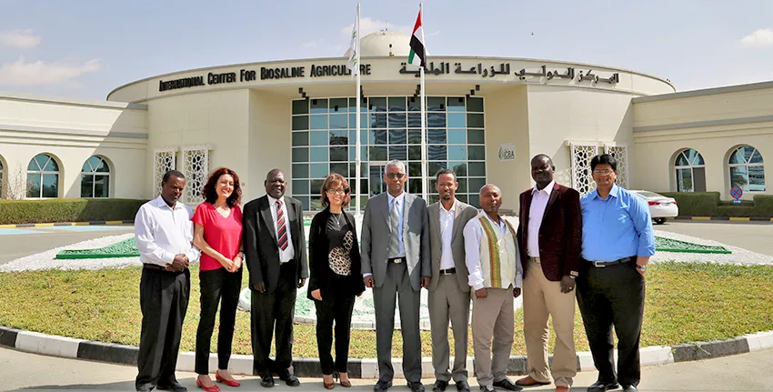 High-level delegations from Ethiopia and South Sudan led by H.E. Dr. Kaba Urgessa, State Minister for Agriculture and Natural Resources, and Dr. Victor Bennet, Director General of Research at the Ministry of Agriculture, Forestry, Cooperatives and Rural Development, respectively visited the ICBA’s head office in Dubai on 26-27 February 2018 to attend the annual progress meeting.