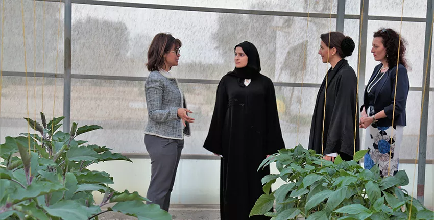 H.E. Mariam Almheiri and H.E. Sarah Al Amiri visited the net-house facility, which according to studies consumes 32 times less energy than the common model of greenhouse with a fan-pad cooling system.