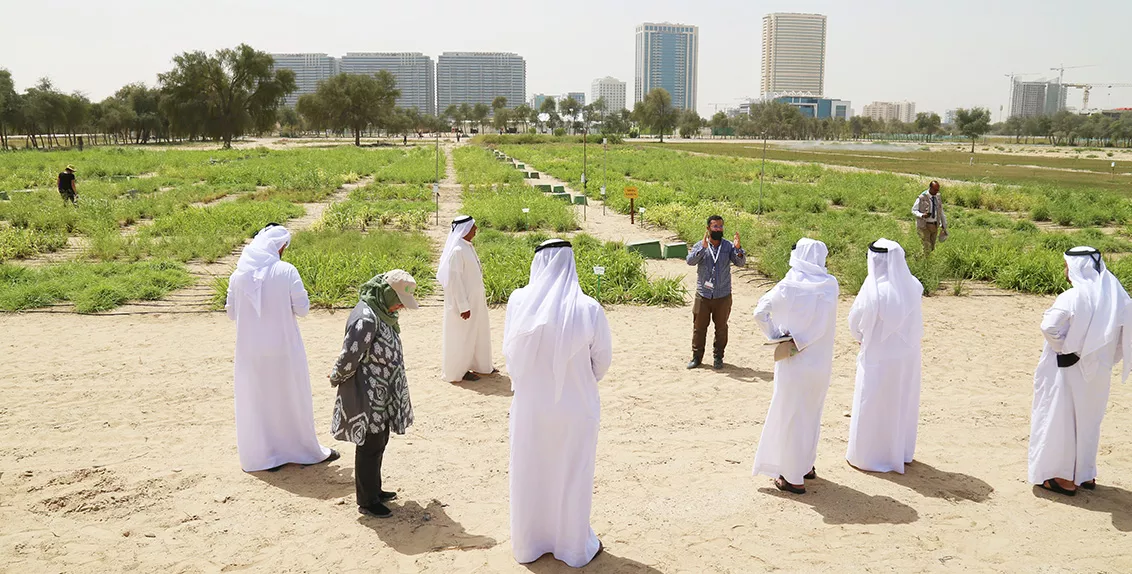 أطلق هذه المبادرة معالي مريم بنت محمد المهيري، وزيرة التغير المناخي والبيئة بدولة الإمارات العربية المتحدة، بهدف تعريف أصحاب الأعمال الزراعية الإماراتيين والمزارعين والمتخصصين في الإرشاد على التقنيات الزراعية المستدامة والمحاصيل المقاومة للمناخ والملائمة للبيئات المحلية التي طورها واختبرها إكبا وشركائه خلال السنوات الماضية.