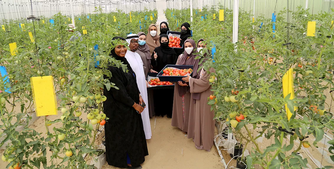The event was hosted under ICBA’s community initiative called 3N, or the power of triple noon (derived from the Arabic letter ن, which is pronounced as noon). The three Arabic letters of the initiative represent three key actions: grow, harvest, and share.