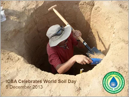 ICBA Celebrates World Soil Day on 5 December 2013