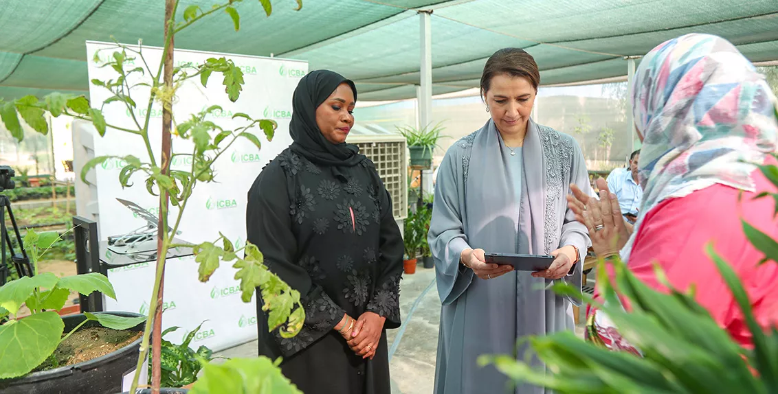 Dr. Tarifa Alzaabi, Director General of ICBA, said: “Smallholder farmers are on the frontlines of food security. They are the backbone of many agricultural economies, yet they often lack access to information about pests and diseases. We have developed this mobile application to help bridge this gap and put knowledge in their hands.”