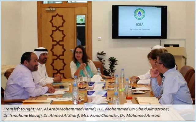 Enhancing Collaboration between the Arab Authority for Agricultural Investment and Development and the International Center for Biosaline Agriculture