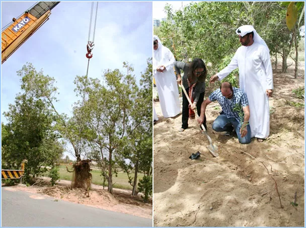 ICBA CELEBRATES WORLD ENVIRONMENT DAY 2013