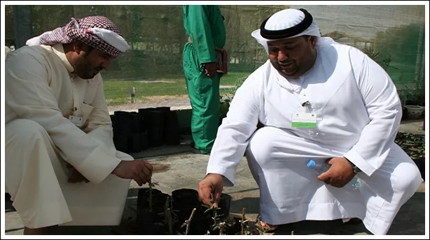 ICBA hosts the Workshop on “Plant Genetic Resources in the UAE”