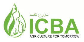 Collaboration between University of Sydney and the International Center for Biosaline Agriculture (ICBA)