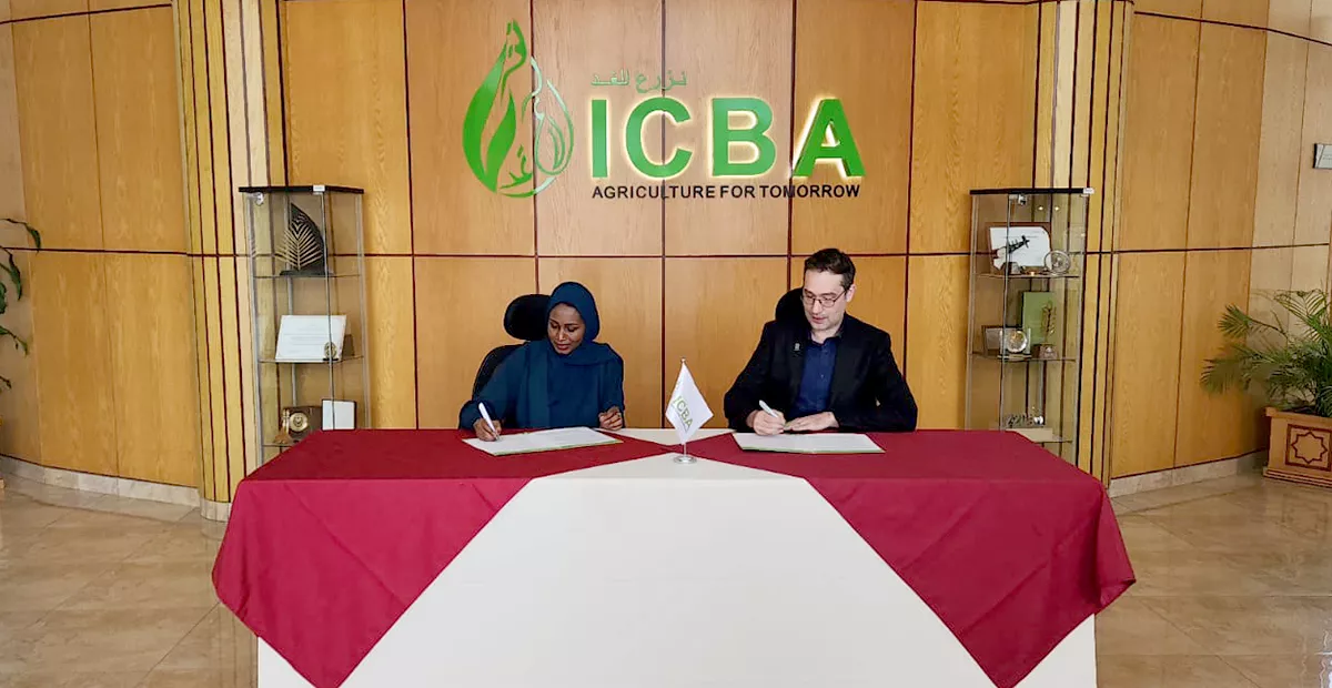 The International Center for Biosaline Agriculture (ICBA) and CIMMYT have signed an agreement to jointly advance the ecological and sustainable intensification of cereal and legume cropping systems in semi-arid and dryland areas.