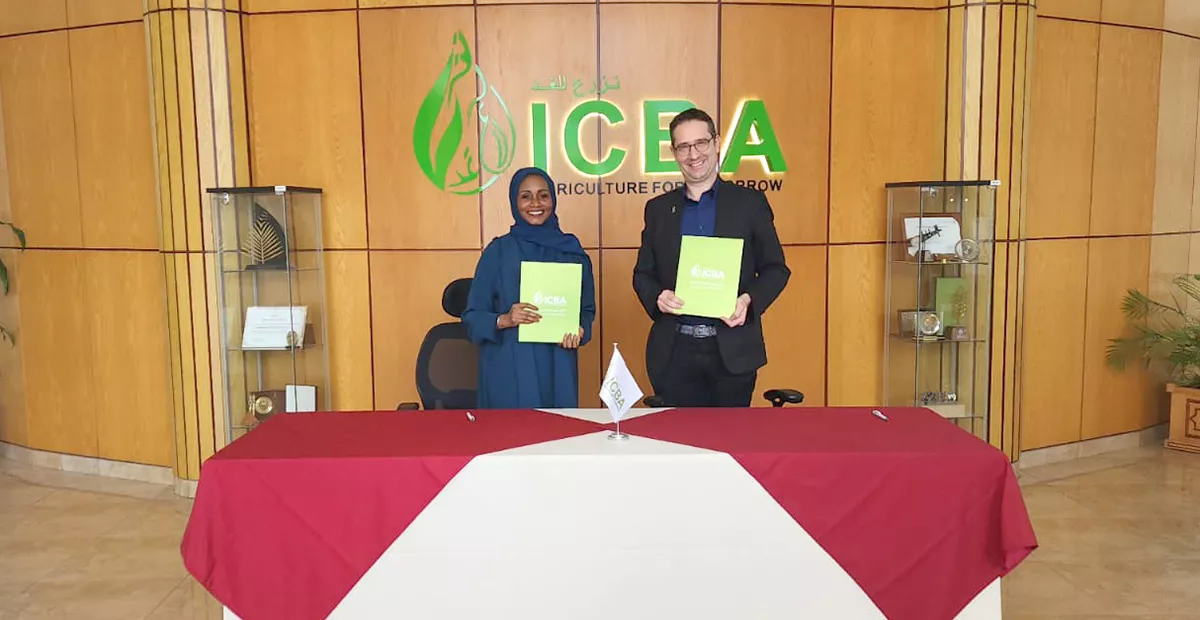 As part of the new agreement, the centers will also explore research collaborations with universities and research institutions in the UAE to develop and test maize varieties that are suitable for the UAE’s climate and soil conditions, as well as organizing training programs and workshops for farmers, extension workers, and other stakeholders in the UAE to build their capacity in maize production and management.