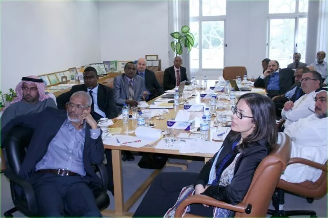 ICBA Helps in the Preparation of Somalia’s Water Strategy