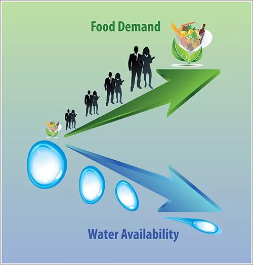 ICBA and Desert Research Center conducts a Seminar and Workshop for Farmers’ Field Schools in Egypt