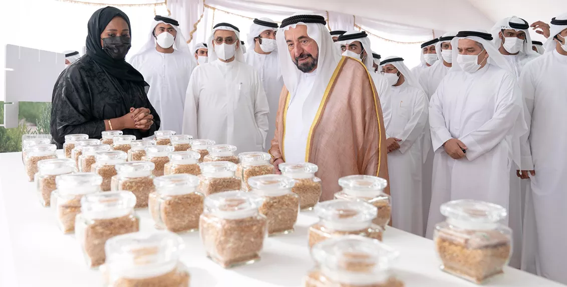 At the event, H.H. Dr. Sheikh Sultan bin Muhammad Al Qasimi, Supreme Council Member and the Ruler of Sharjah, was briefed by Dr. Tarifa Alzaabi, Acting Director General of ICBA, about the center’s work on wheat and how it identifies, tests and preserves wheat varieties suited to environments like the UAE. Photo source: http://wam.ae/en/details/1395303035851