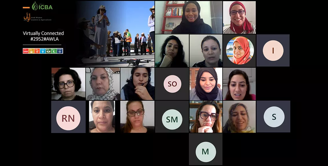 The association was launched by Dr. Tarifa Al Zaabi, Deputy Director-General of ICBA during the first virtual session of the network, which was attended by 18 of 22 members of the alumnae, in addition to ICBA scientists; the inaugural session was symbolized by a digital code (phoneword) for AWLA, 2952. 