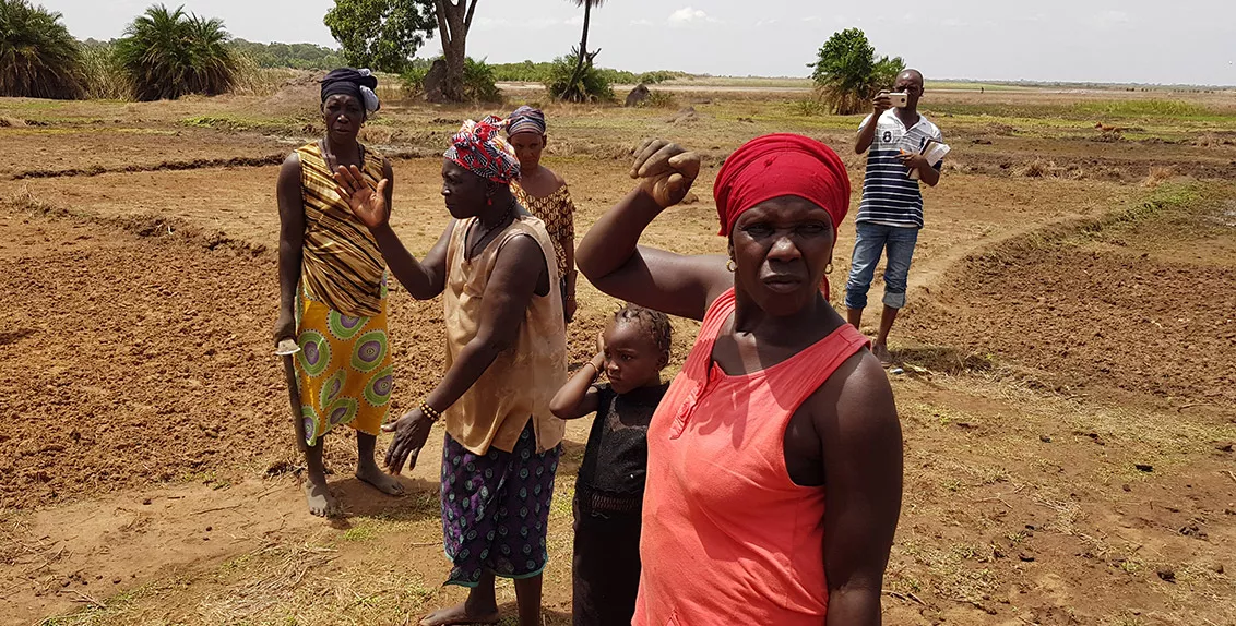 In The Gambia, while interacting with stakeholders during a workshop on 1-2 July 2019, which was organized in collaboration with the National Agriculture Research Institute of The Gambia, the RESADE team found that there is a lack of capacity to coordinate, collaborate on and control water resources, as well as inadequate information and funding.