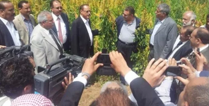 Yemeni Minister of Agriculture and Irrigation visit ICBA-AREA research project in Yemen