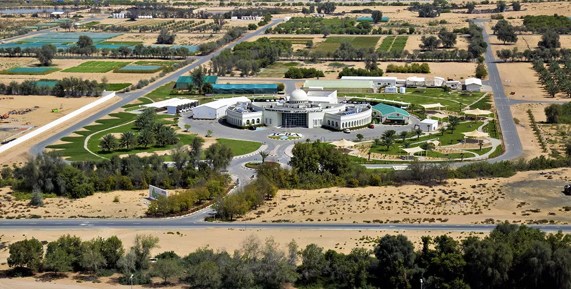 To mark 20 years of service to and collaboration with farmers and other agricultural stakeholders in the UAE, the International Center for Biosaline Agriculture (ICBA) will host a big open day for UAE farmers and agri-businesses at its headquarters in Dubai on 20 February 2019.
