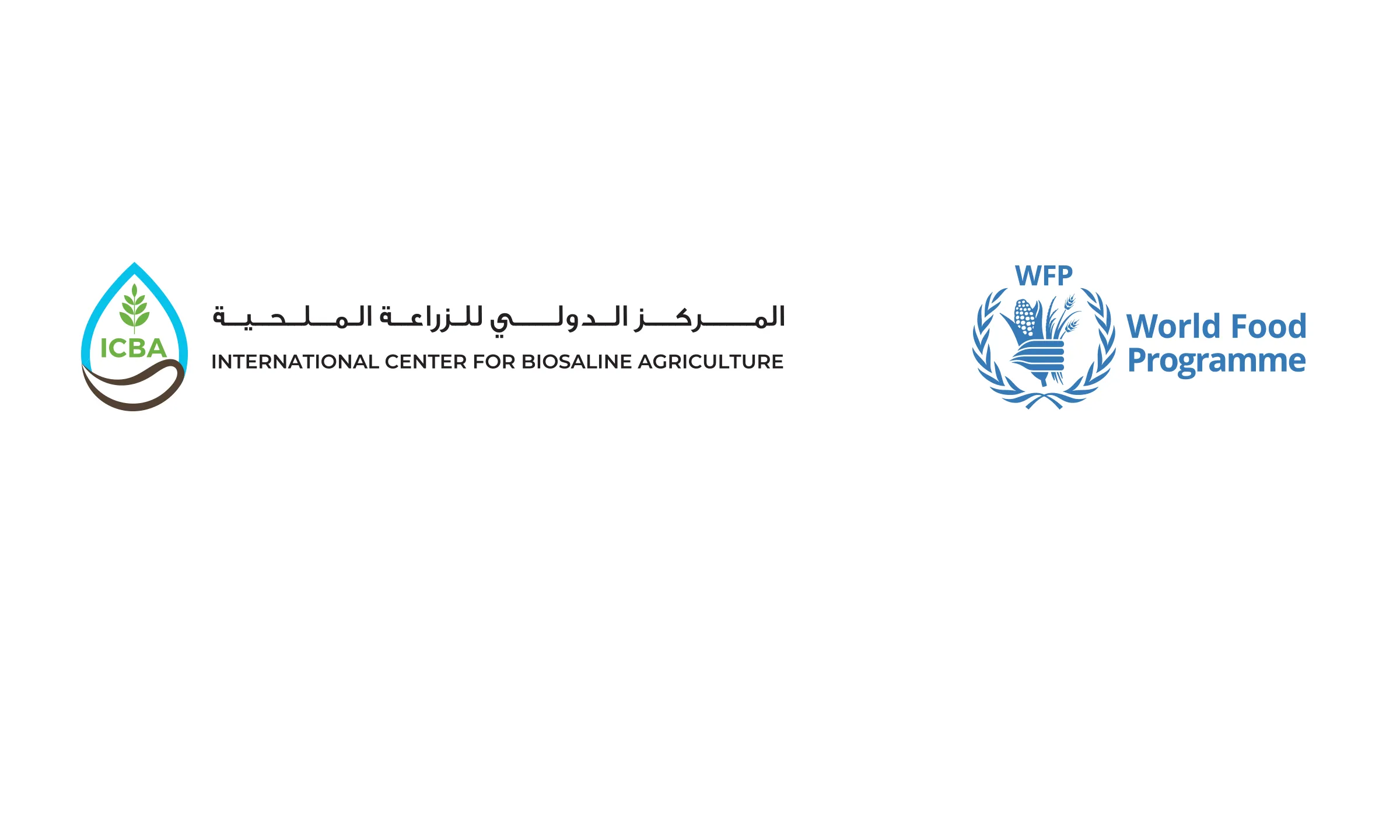 The United Nations World Food Programme (WFP) in partnership with the International Center for Biosaline Agriculture (ICBA) and with financial support from Global Affairs Canada (GAC), has launched the MURUNA (“resilience” in Arabic) project to strengthen Iraq’s climate resilience. Iraq continues to face serious challenges to food security, with an estimated 2.5 million people requiring humanitarian assistance. 