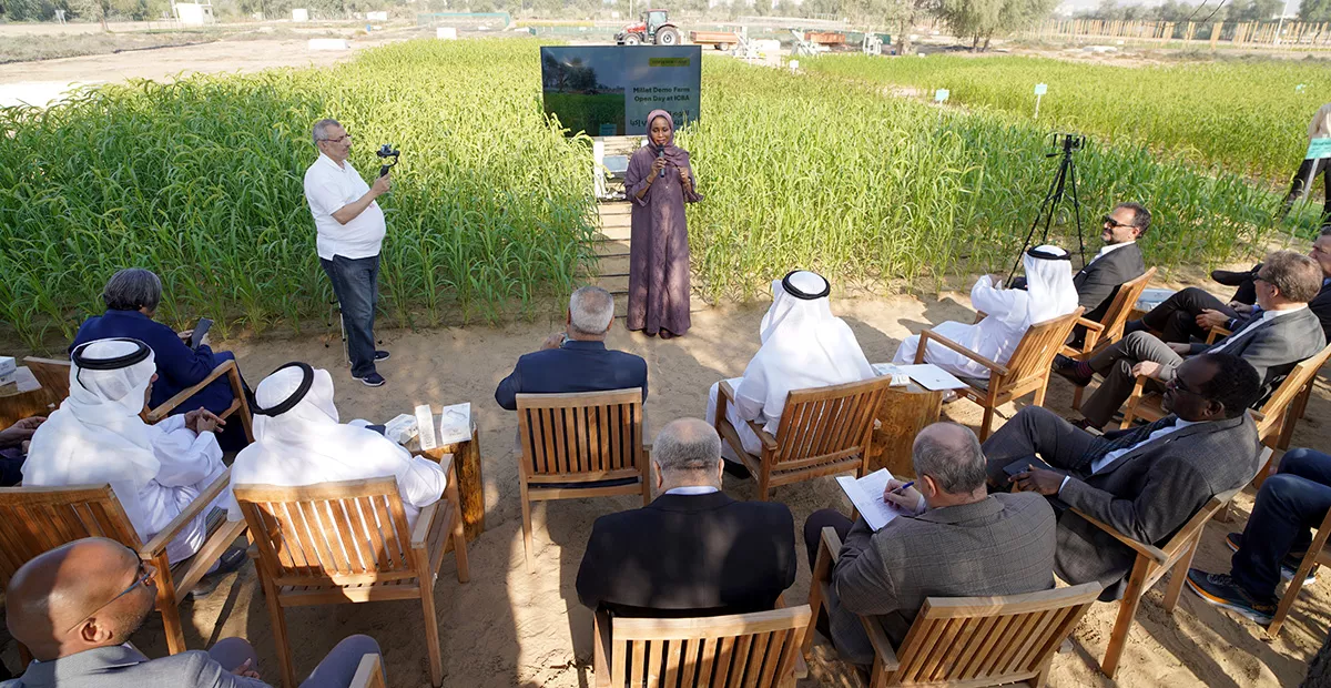 Participants, including CEOs of private companies and senior government officials from different countries, learned about ongoing millet trials at ICBA’s research station and post-harvest processing machines, and tasted a variety of millet-based dishes.