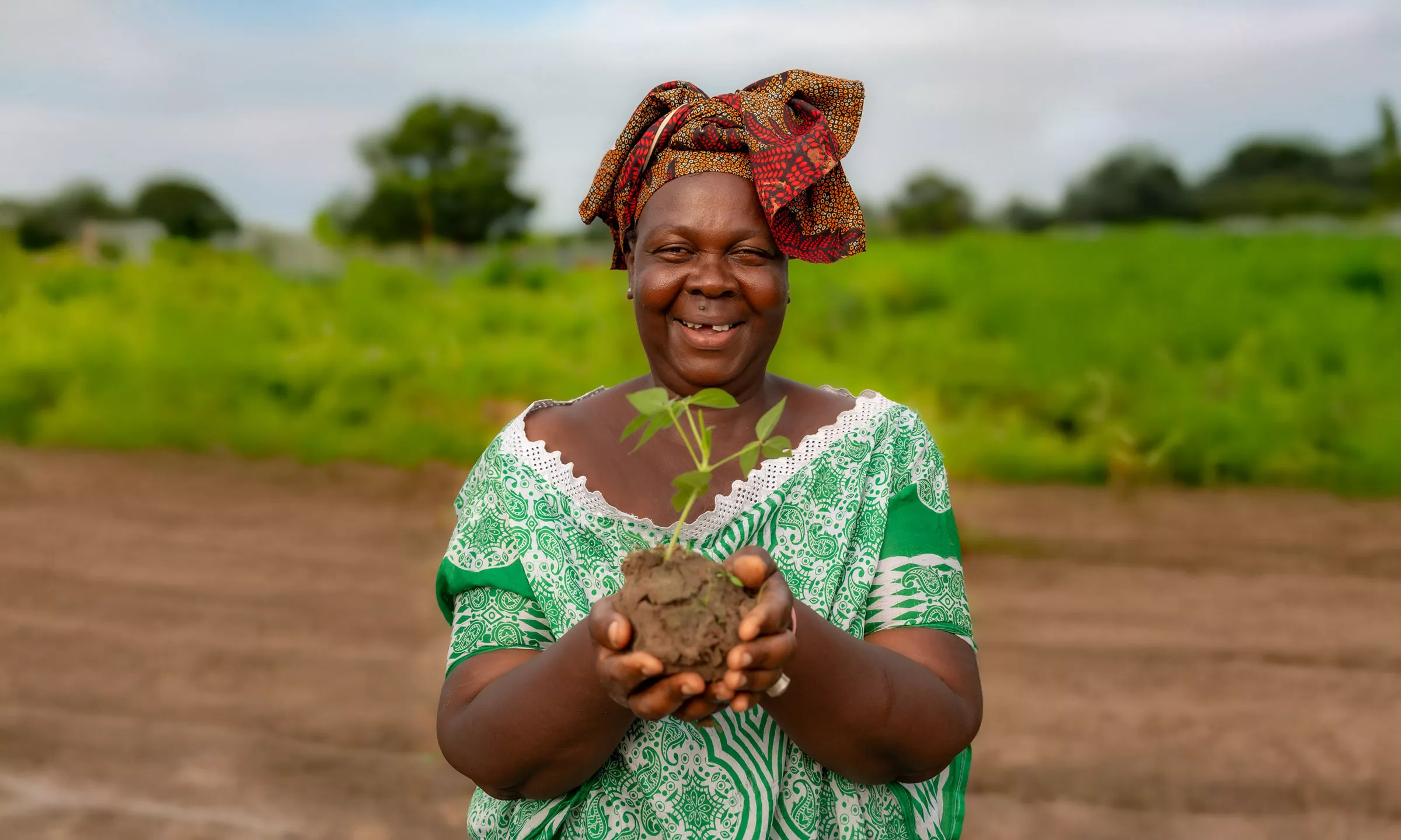 Ndey Jobe, Vice President of the Gengi Wollof Farmer Field School in The Gambia, holding cowpea seedling at the community seedbank at the Genji Wolof Vegetable Garden.