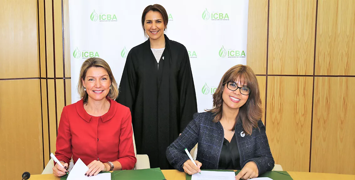 The International Center for Biosaline Agriculture (ICBA) and the International Fund for Agricultural Development (IFAD), a specialized agency of the United Nations, joined forces today to work towards agricultural development and food security in developing countries, contributing to the achievement of the UN Sustainable Development Goals. 