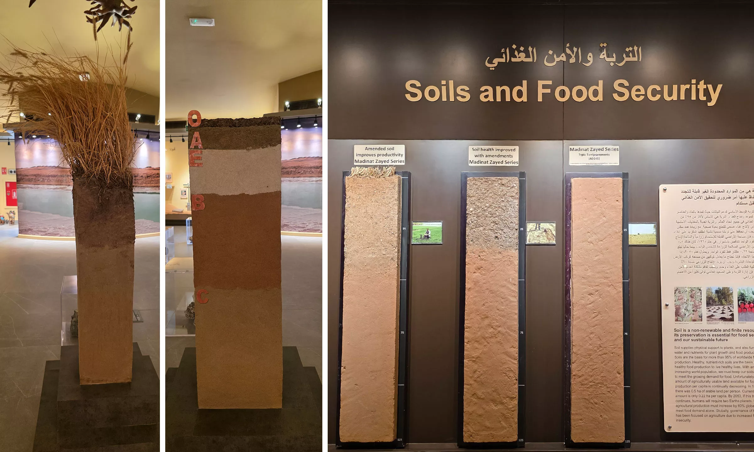 ICBA has long been at the forefront of advancing soil science, particularly in the context of effective soil health assessment, saline soil management, and sustainable land practices in arid and challenging environments.