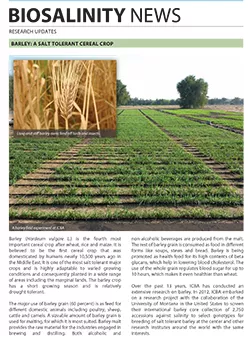 Barley: A salt tolerant cereal crop