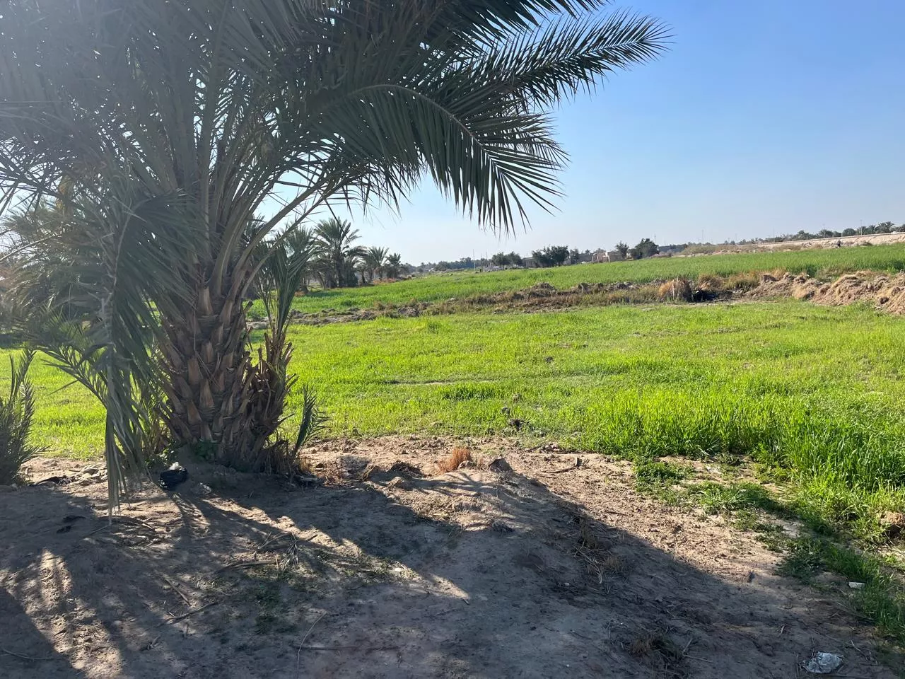 Fostering Resilience in Iraq through Sustainable Water Management and Climate Smart Agriculture