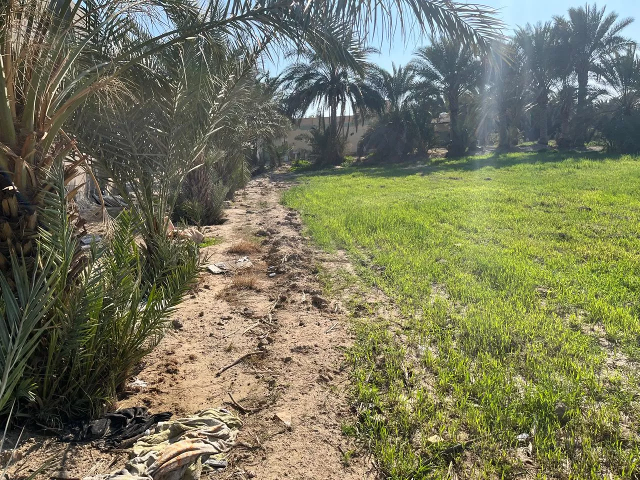 Fostering Resilience in Iraq through Sustainable Water Management and Climate Smart Agriculture