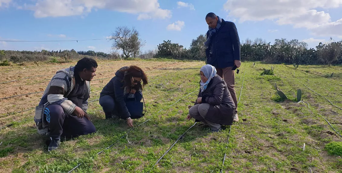 Creation of agricultural startups for Tunisian youth