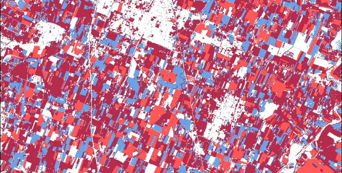 The changes seen in a region of Italy in the Normalized Difference Vegetation Index (NDVI) between 2019 and 2020 in the same time period. NDVI is an index used to estimate the health and productivity of vegetation. The red shows areas where the vegetative productivity has decreased; blue areas where vegetative productivity has increased, and the maroon where it is roughly the same. The changes show the differences in the farmed areas between the two years.