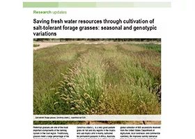 Saving fresh water resources through cultivation of salt-tolerant forage grasses: seasonal and genotypic variations