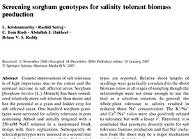 Screening sorghum genotypes for salinity tolerant biomass production