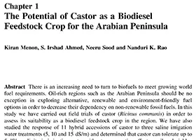 The Potential of Castor as a Biodiesel Feedstock Crop for the Arabian Peninsula